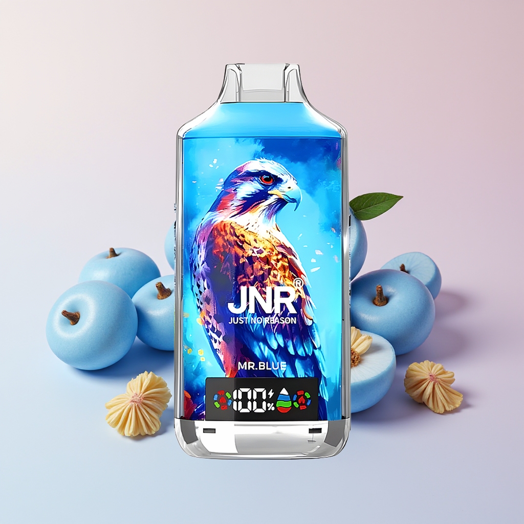 JNR FALCON X 18000 PUFFS MR. BLUE