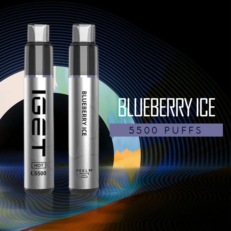 IGET Hot - 5500 Puffs Blueberry Ice