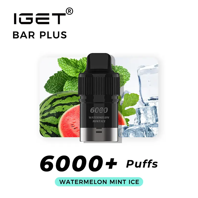 Nicotine Free IGET Bar Plus Vape Kit Watermelon Mint Ice