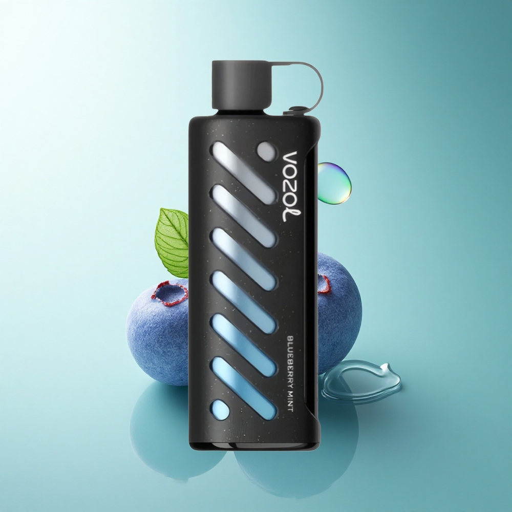 VOZOL Gear Shisha 25000 Puffs Blueberry Mint Dual Mesh 1000mAh