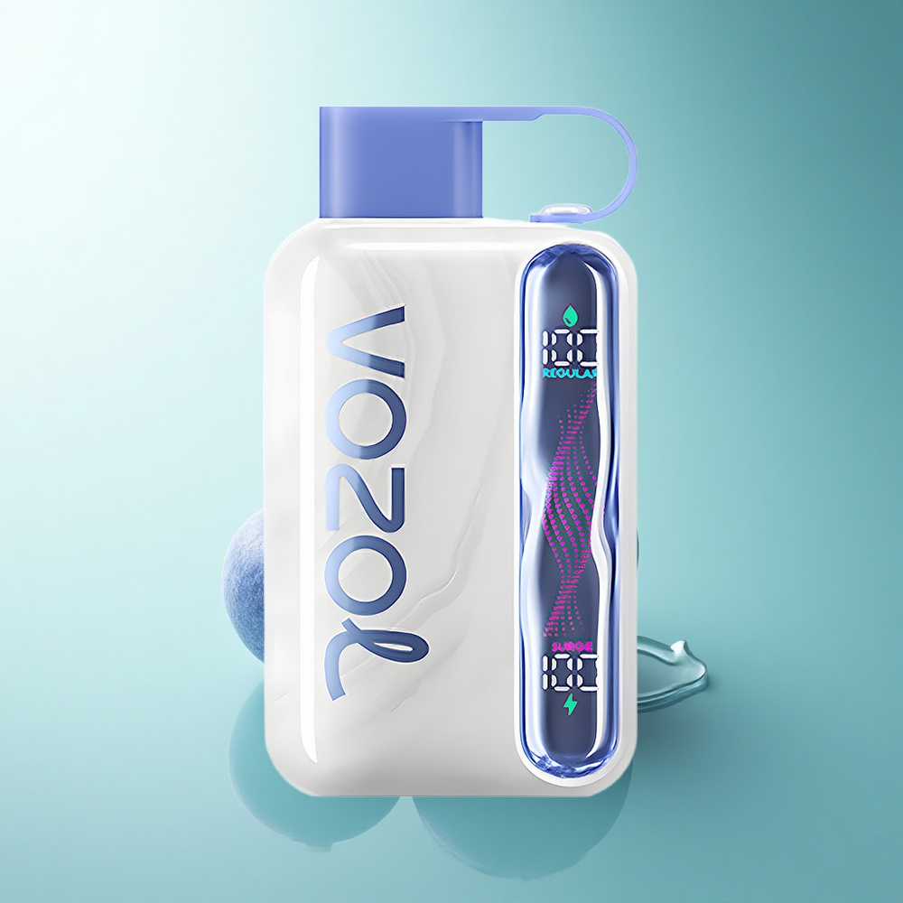 VOZOL STAR 40000 Puffs Blueberry Mint 1000mAh 20mg Nicotine