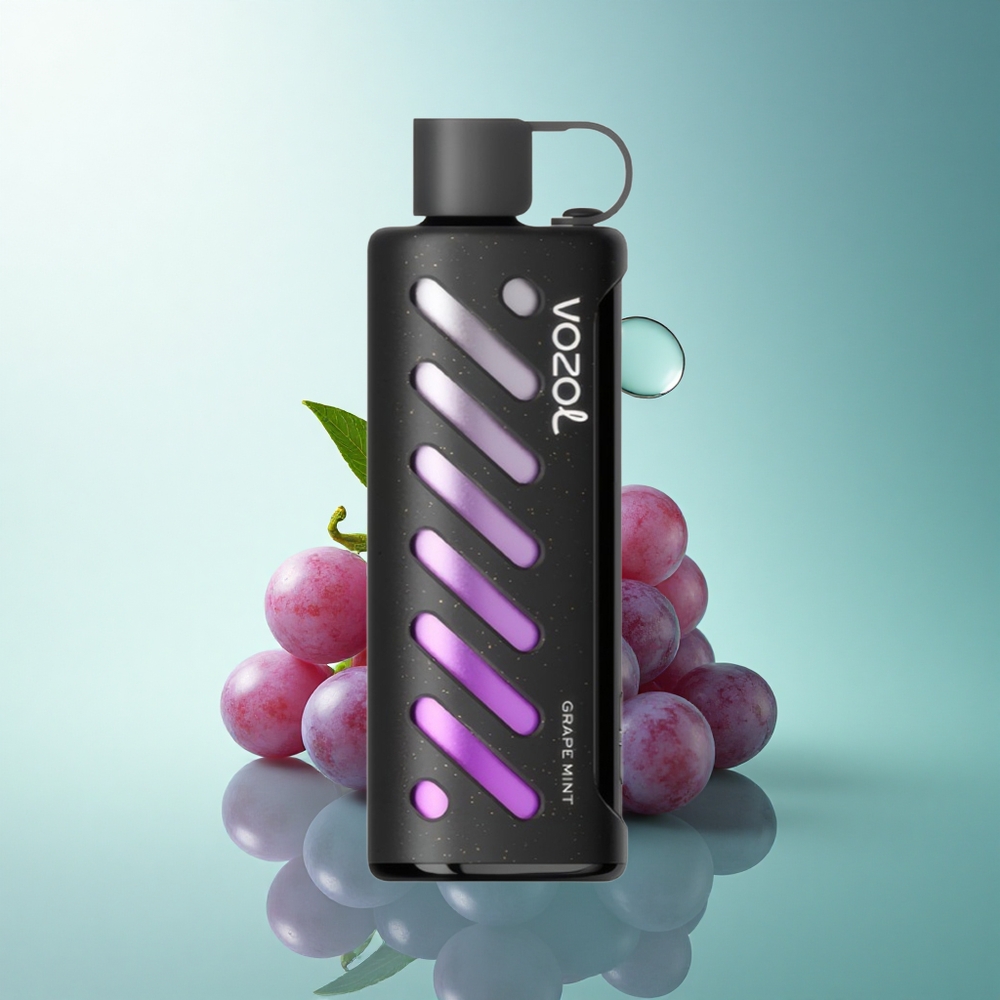 VOZOL Gear Shisha 25000 Puffs Grape Mint Dual Mesh 1000mAh