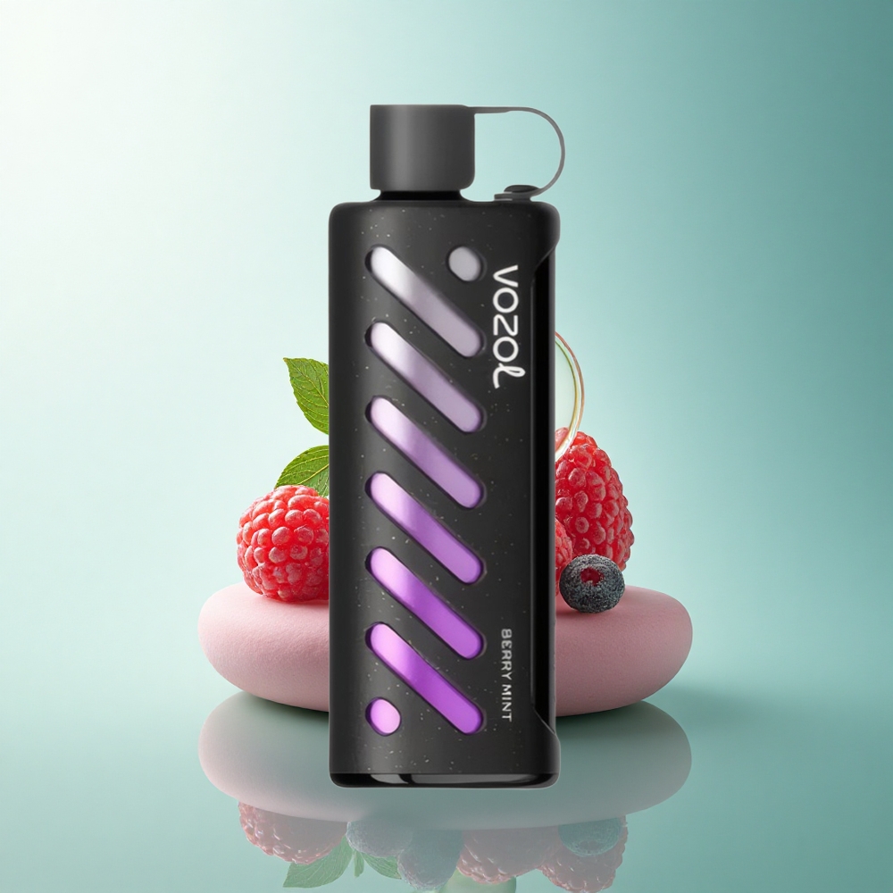 VOZOL Gear Shisha 25000 Puffs Berry Mint Dual Mesh 1000mAh
