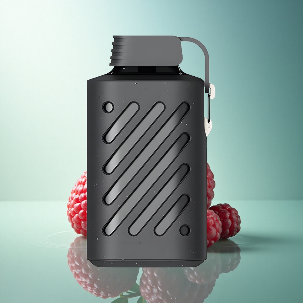 VOZOL GEAR 10000 Puffs Cedar Berries 500mAh 20ml Mesh Coil