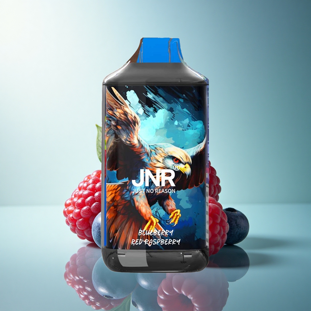 JNR Falcon 16000 Blueberry Red Raspberry Dual Mesh 22ml 850mAh Nicotine 0% 2%