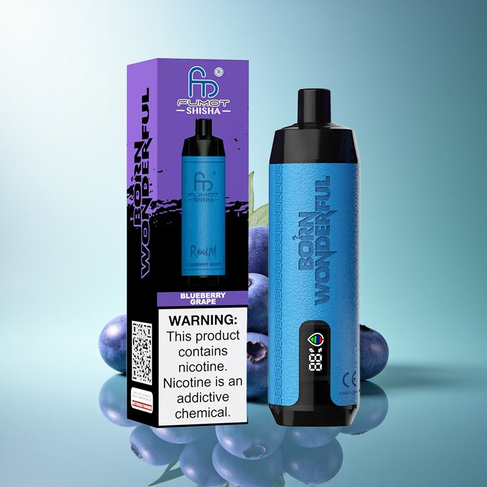RandM Fumot Shisha 10000 Puffs Blueberry Grape 18ml 850mAh 0.5% Nicotine