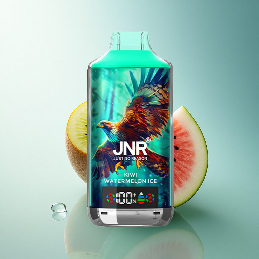 JNR Falcon X 18000 Kiwi Watermelon Ice 24ml Dual Mesh