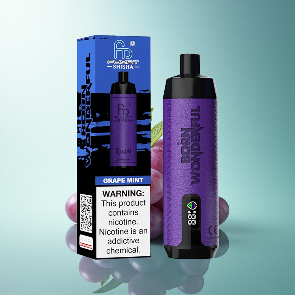 RandM Fumot Shisha 10000 Puffs Grape Mint 18ml 0.5% Nicotine 850mAh