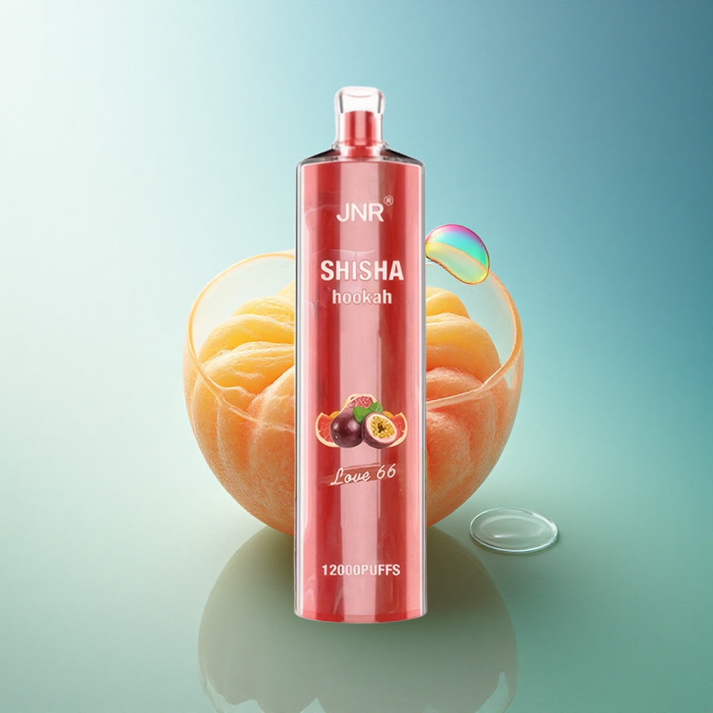 JNR Shisha Hookah 12000 Love 66 Mesh 750mAh 24ml