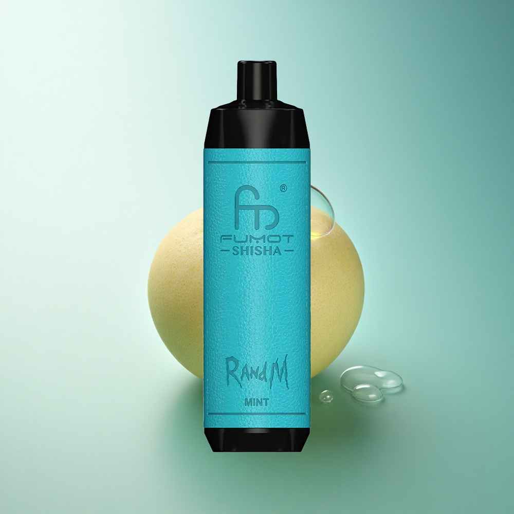 RandM Fumot Shisha 10000 Puffs Mint LED Mesh 850mAh Disposable Vape