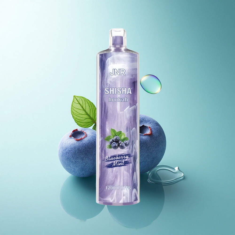 JNR Shisha Hookah 12000 750mAh Blueberry Mint Disposable Vape