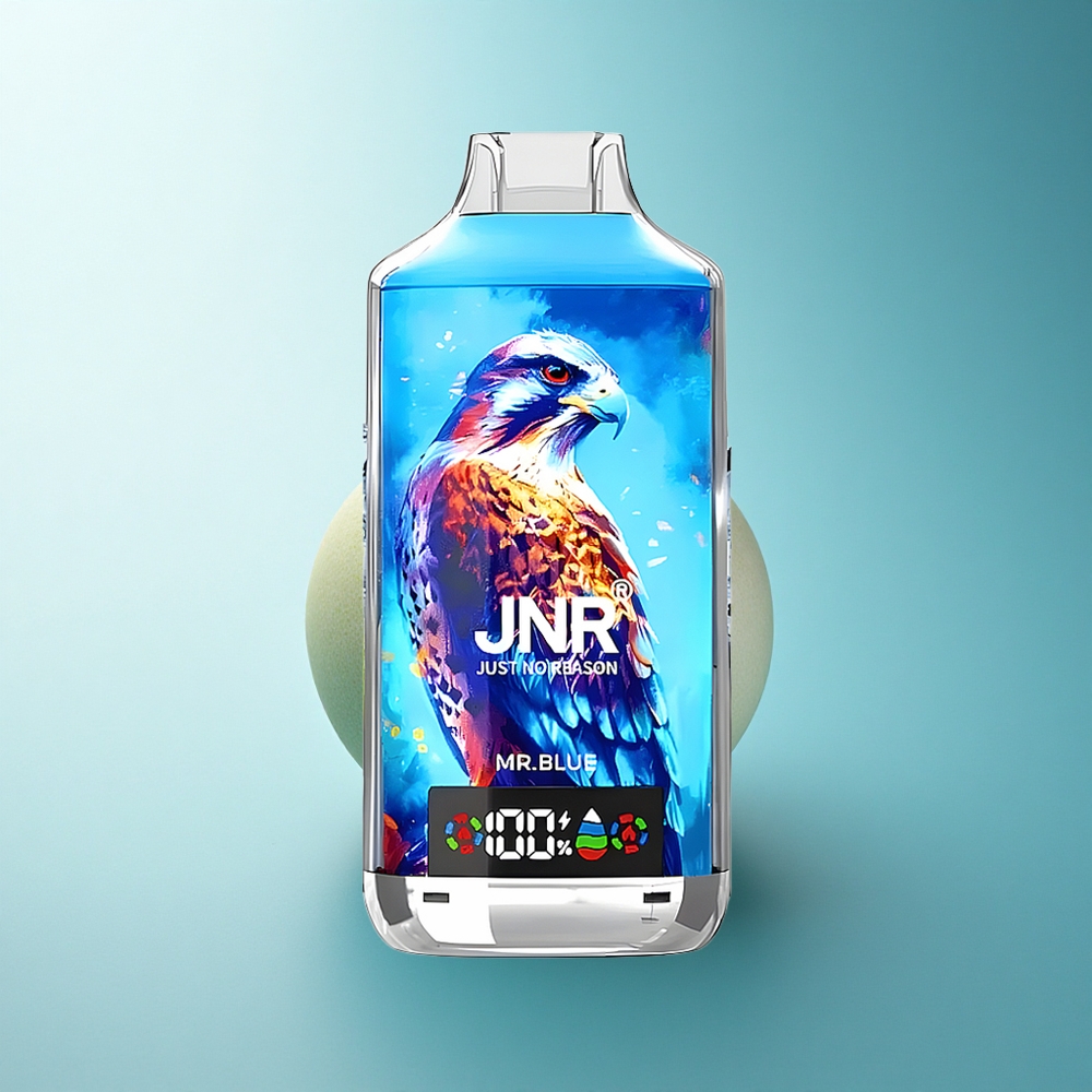JNR Falcon X 18000 Mr. Blue Dual Mesh 24ml 750mAh
