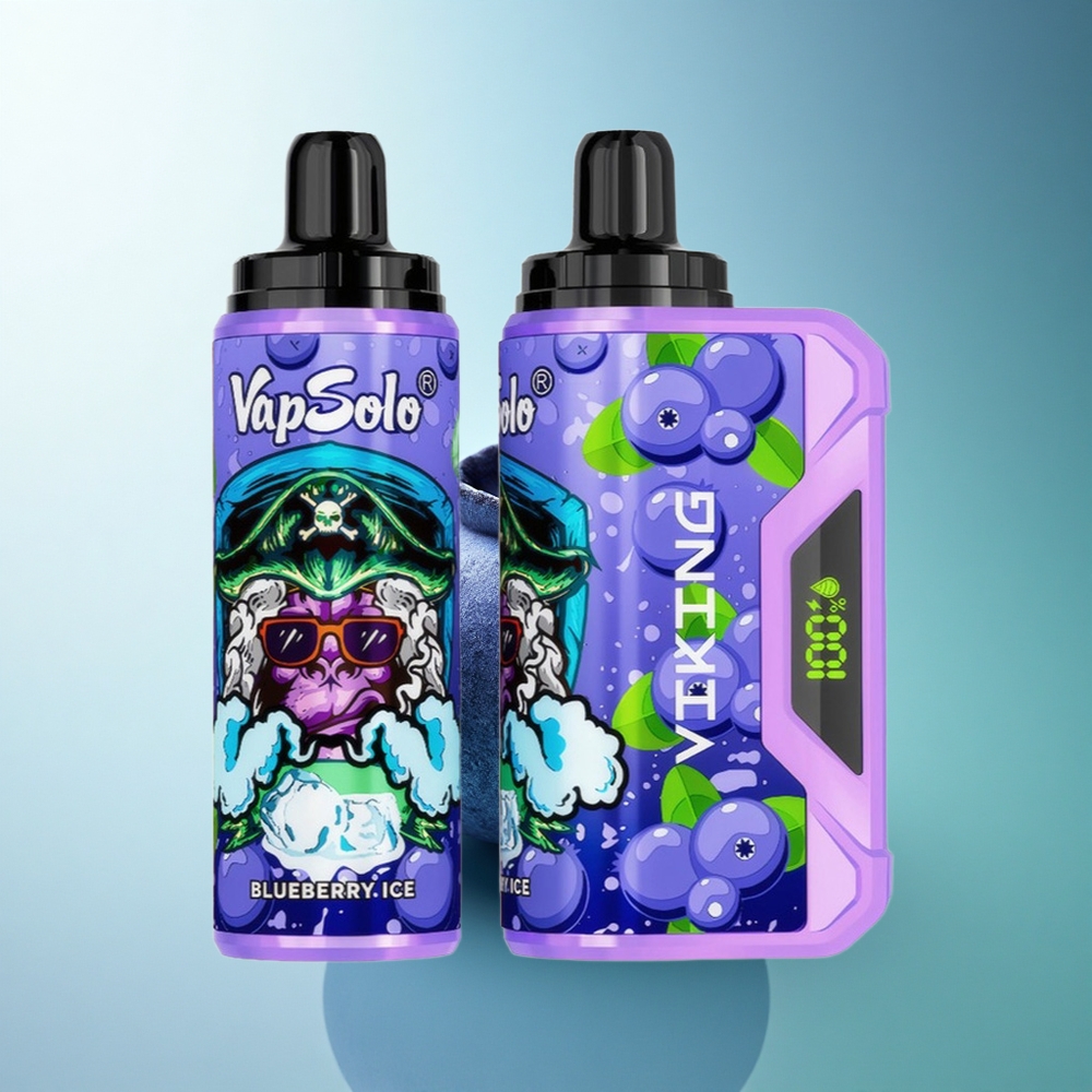 VapSolo VIKING 12000 Puffs Blueberry Type-C 22ml Nicotine Disposable Vape