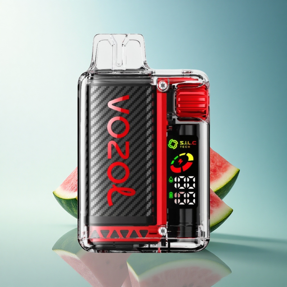 VOZOL Vista 20000 Puffs Raspberry Watermelon 650mAh 2% Nicotine OLED Screen
