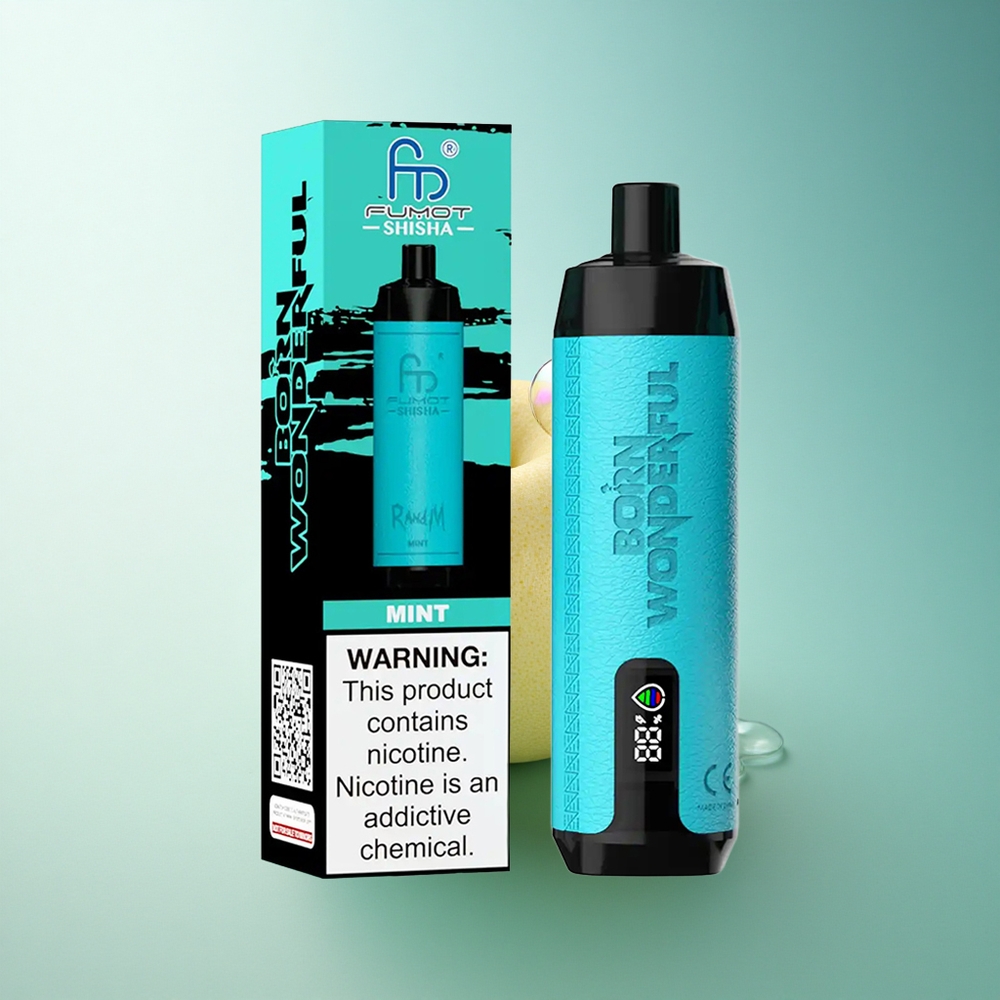 RandM Fumot Shisha 10000 Puffs Mint LED Mesh 850mAh Disposable Vape
