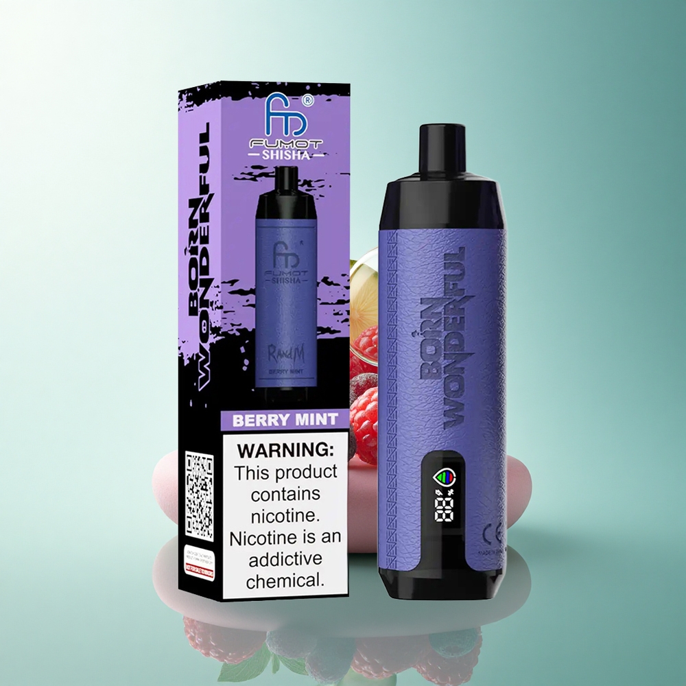 RandM Fumot Shisha 10000 Puffs Berry Mint LED Mesh 850mAh