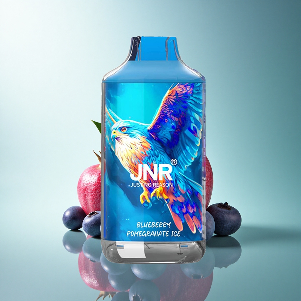 JNR Falcon 16000 Blueberry Pomegranate Ice Dual Mesh Coil 850mAh 22ml Nicotine 2%