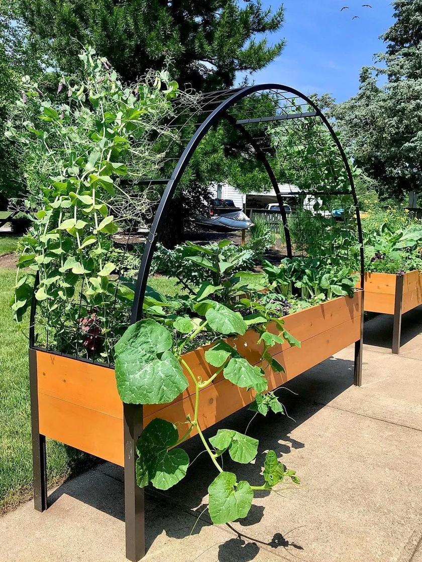 🎍Heavy Duty Standing Garden Planters for Outdoor❤️(2' x 8' )
