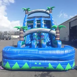 Dual Lane Fireproof Marble Wet Bounce House Inflatable Tropical Water Slide with Pool